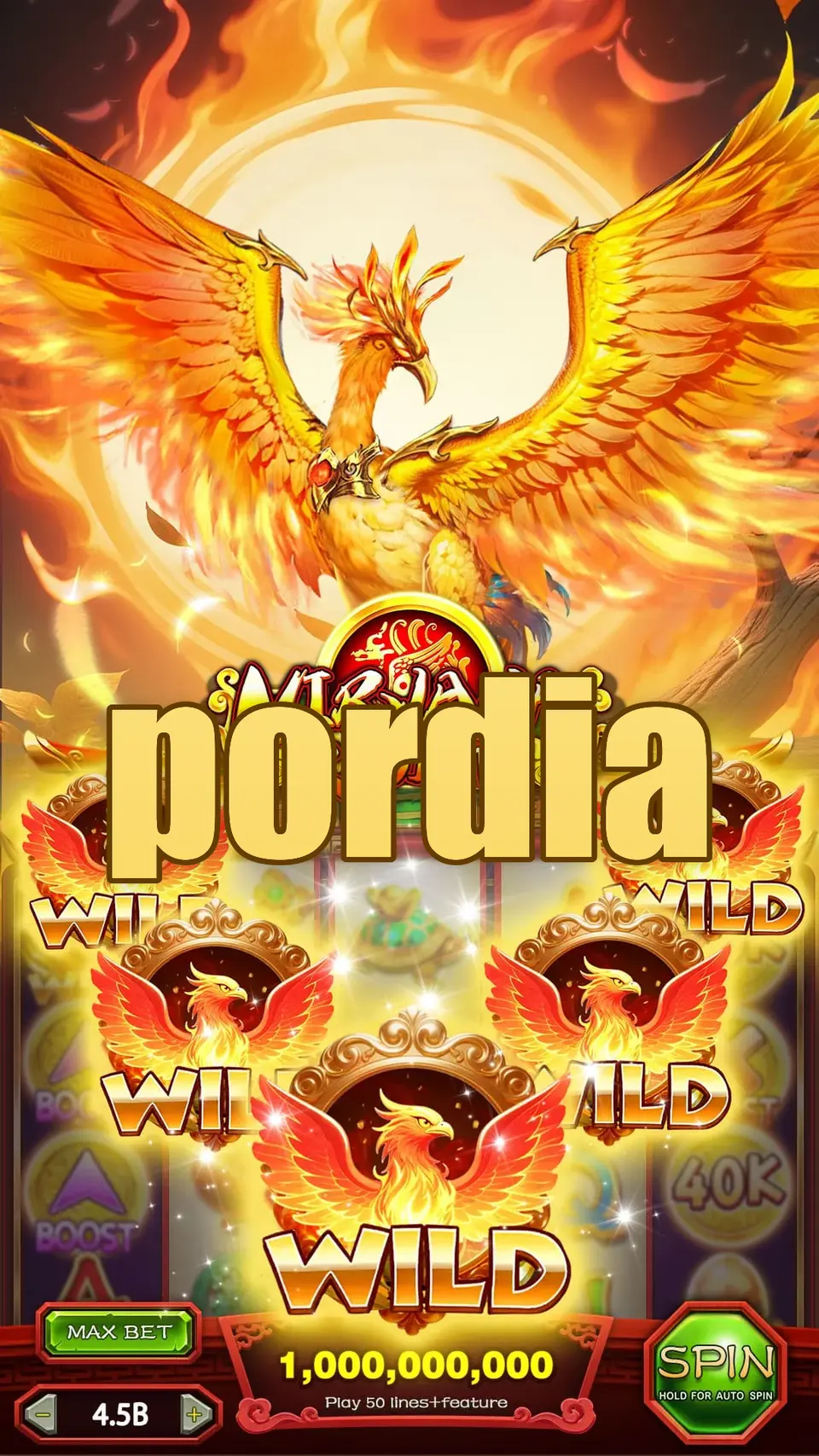 pordia Login